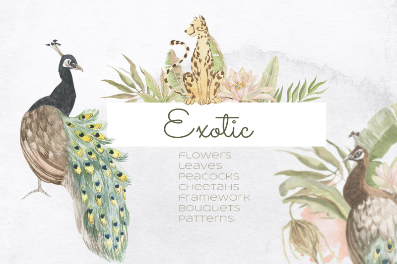 exotic-watercolor-set