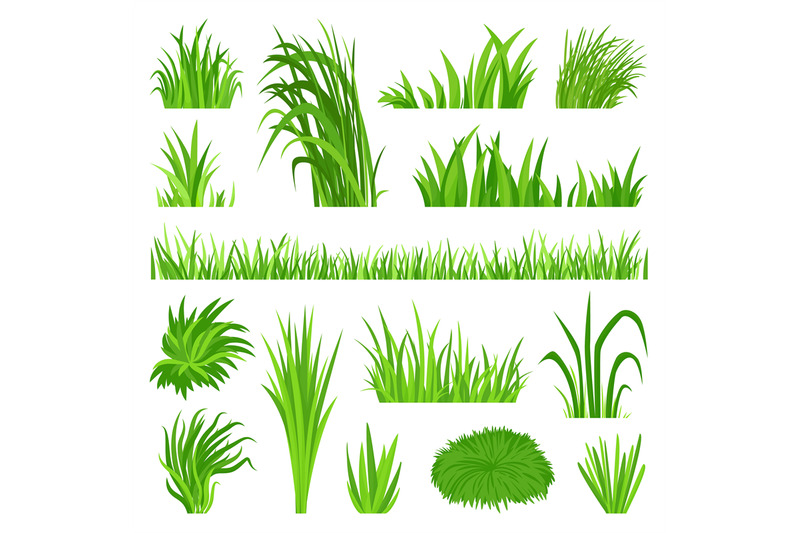 meadow-grass-elements-back-yard-field-organic-green-lawn-weeds-vege