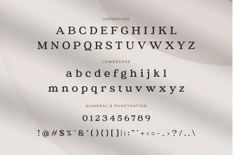 austena-modern-stylish-serif