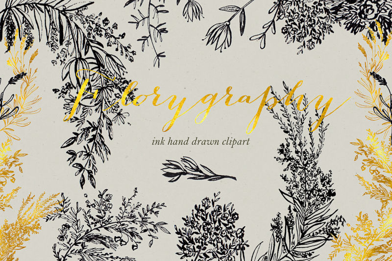 florygraphy-calligraphy-ink-clipart