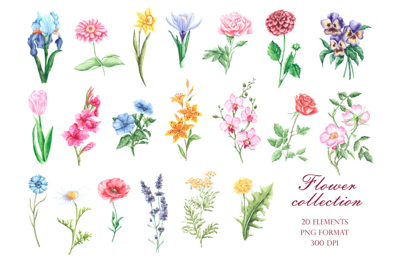 flowers-watercolor-clipart-flower-collection-blooming-garden-flora