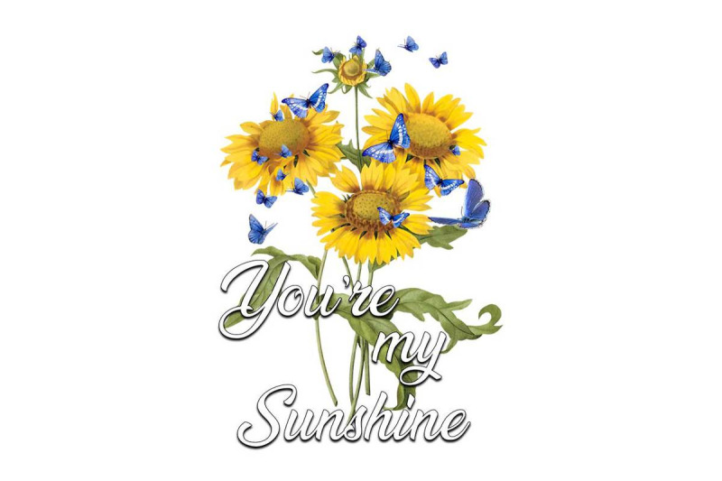 you-are-my-sunshine-sublimation