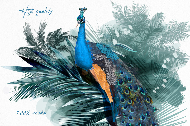 beautiful-vector-illustration-of-high-realistic-peacock-bird