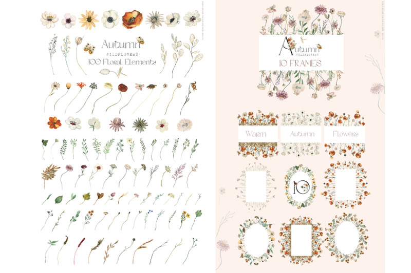 autumn-wildflowers-watercolor-clipart