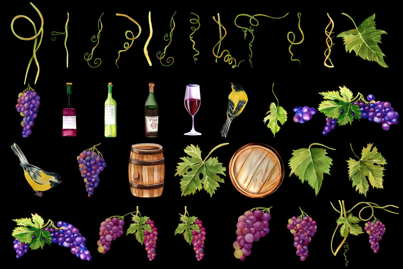 grapes-and-wine-watercolor-clipart