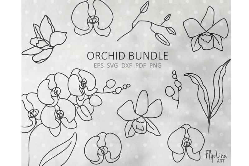 orchid-tropical-flower-svg-amp-png-clipart-orchid-branch