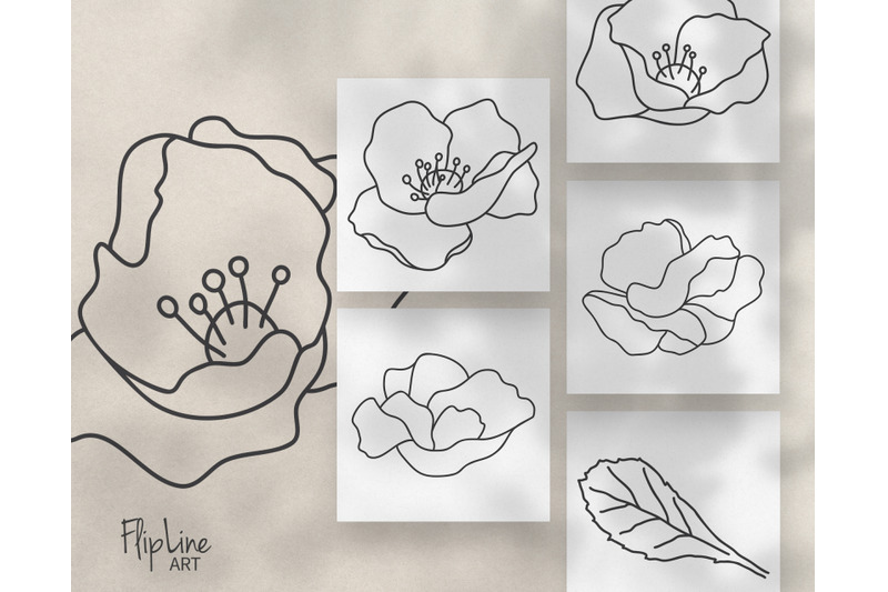 poppy-wildflower-svg-amp-png-clipart-poppies-bundle-floral