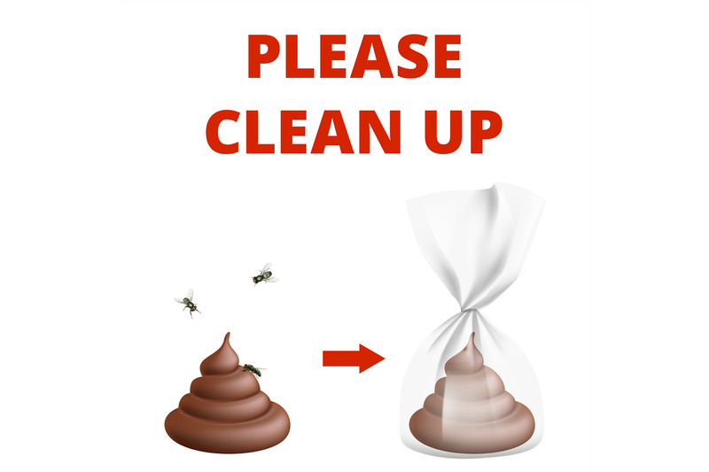 clean-up-after-dog-info-poster-poop-and-insects-realistic-flying-fl