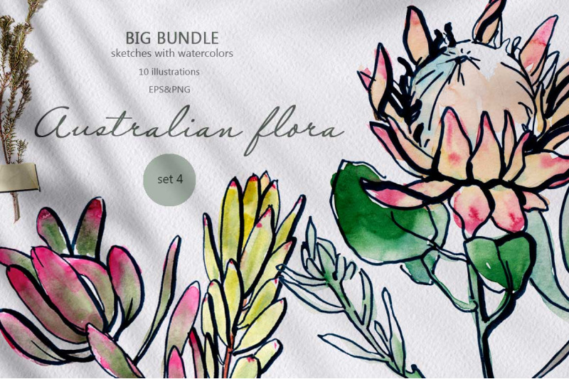 australian-flora-set-4