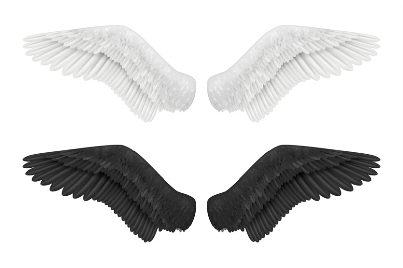 white-and-black-wings-angel-and-demon-wings-birds-feathers-gothic-fly