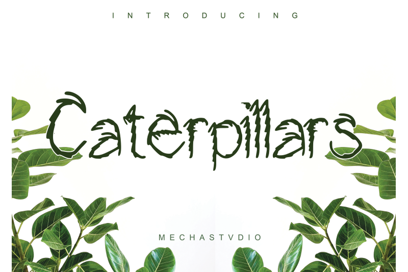 caterpillars