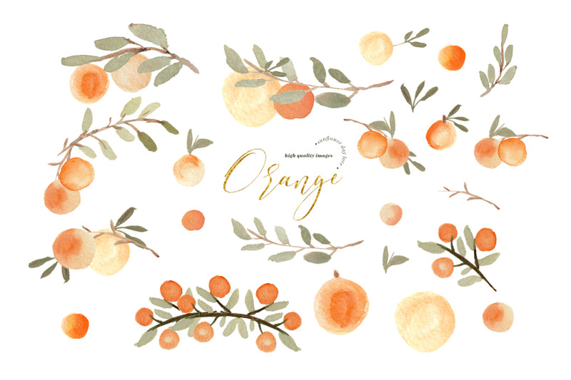 orange-summer-elements-clipart-citrus-frame-orange-illustration