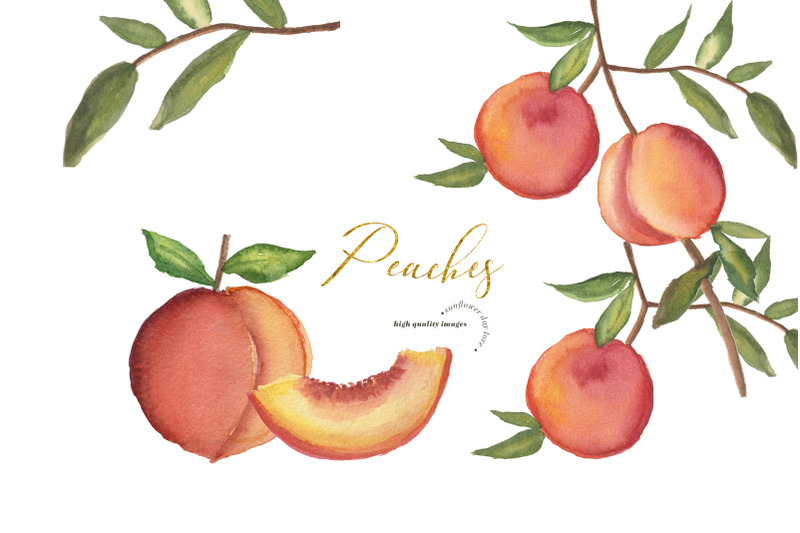 greenery-peaches-watercolor-clipart-summer-peaches-clipart