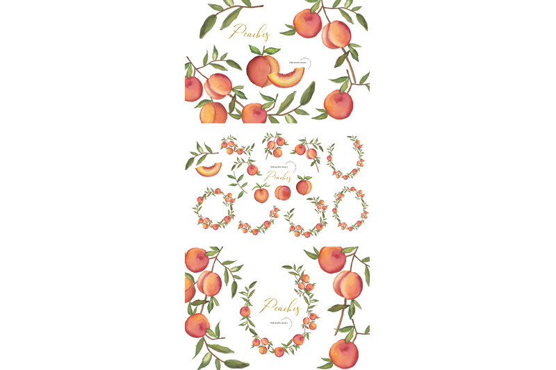 greenery-peaches-watercolor-clipart-summer-peaches-clipart