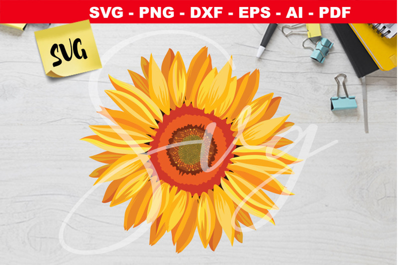 sunflower-waterslide-svg