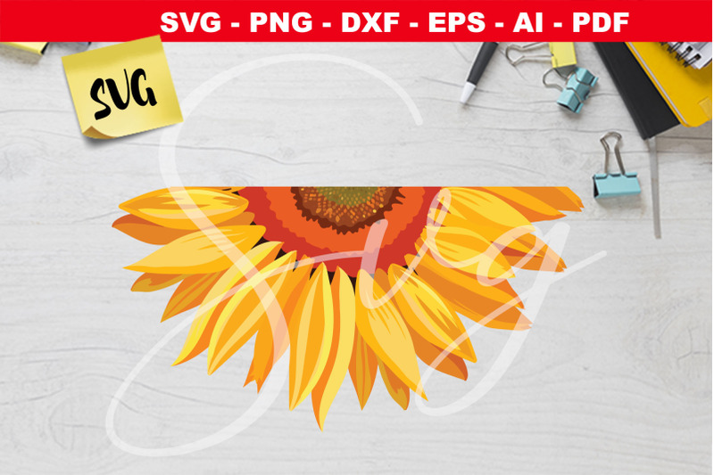 sunflower-waterslide-svg