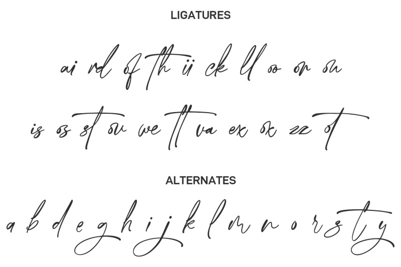 orcatlys-signature-script-font