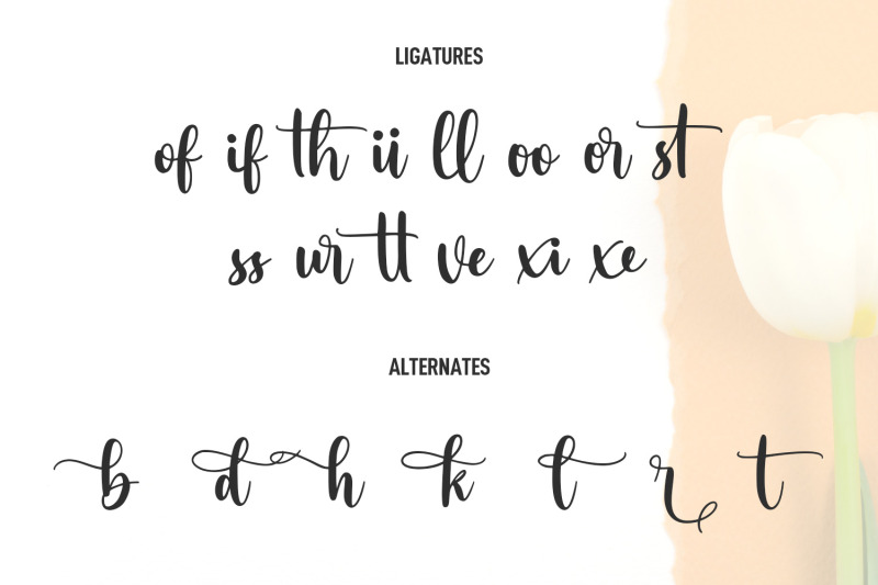 marciato-script-font