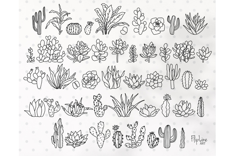 big-cactus-amp-succulent-svg-amp-png-clipart-bundle