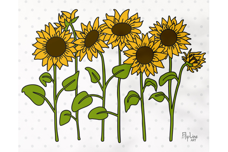 sunflower-svg-amp-png-clipart-sunflower-plant