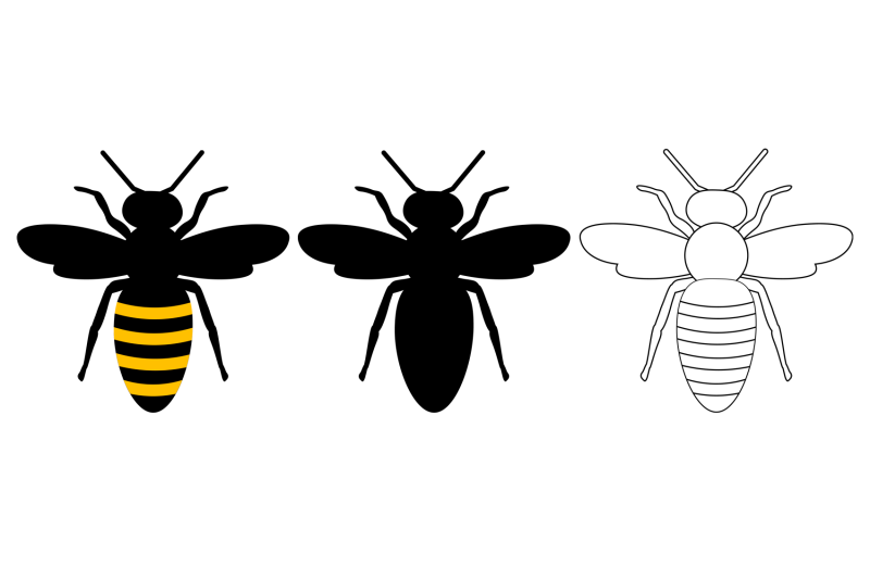 bees-sublimation-bees-silhouette-bees-coloring-bees-svg