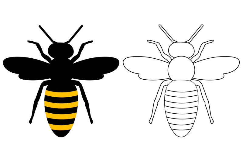 bees-sublimation-bees-silhouette-bees-coloring-bees-svg