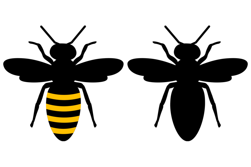 bees-sublimation-bees-silhouette-bees-coloring-bees-svg