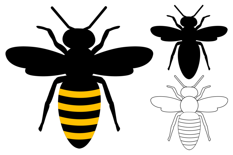 bees-sublimation-bees-silhouette-bees-coloring-bees-svg