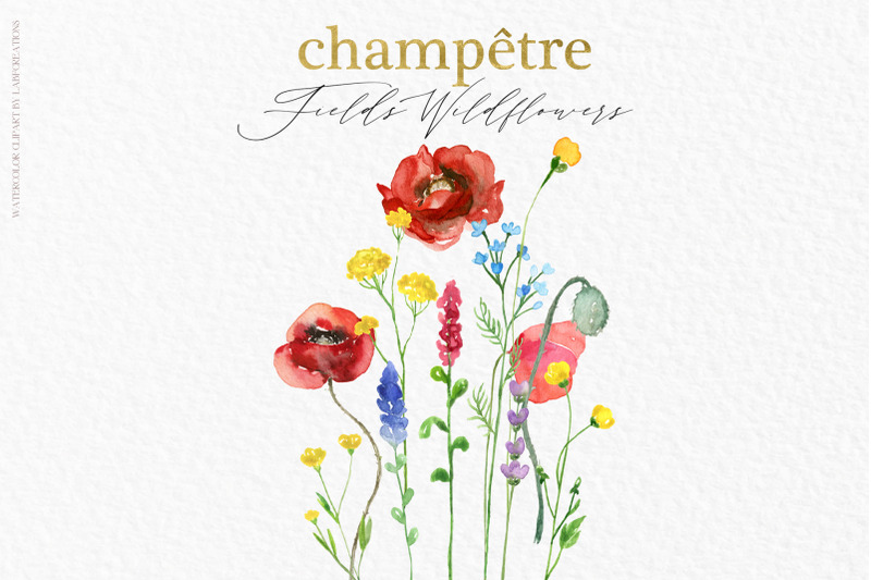 field-wildflowers-watercolors