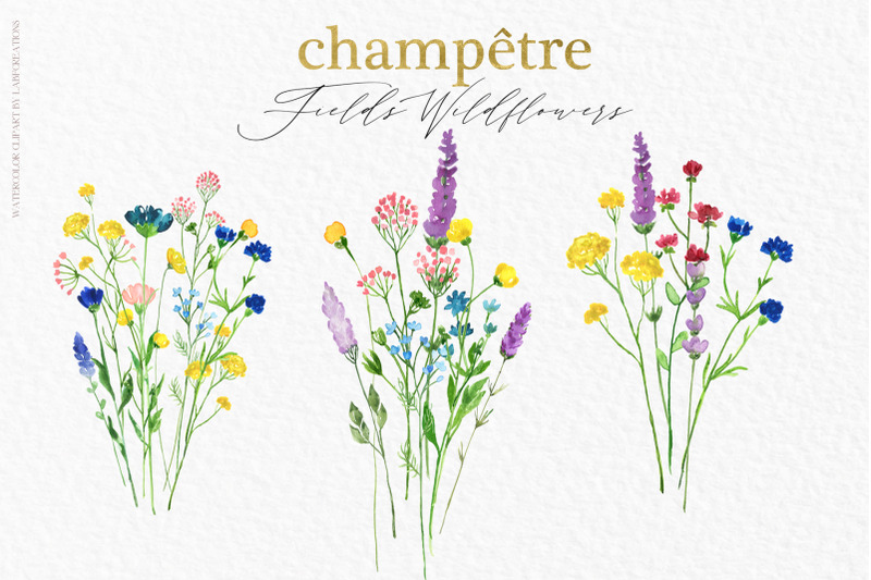 field-wildflowers-watercolors