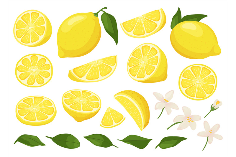 cartoon-lemon-ripe-yellow-sliced-lemons-with-blossom-flowers-and-veav