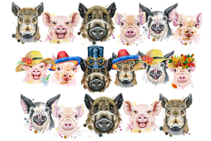 watercolor-borders-from-pigs