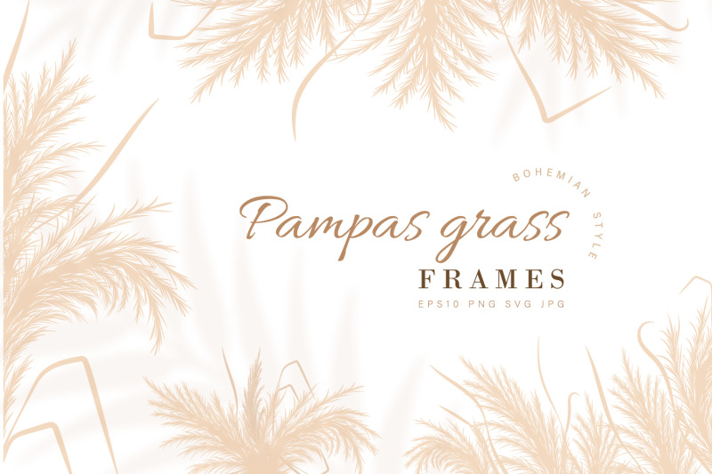 pampas-grass-frame-collection