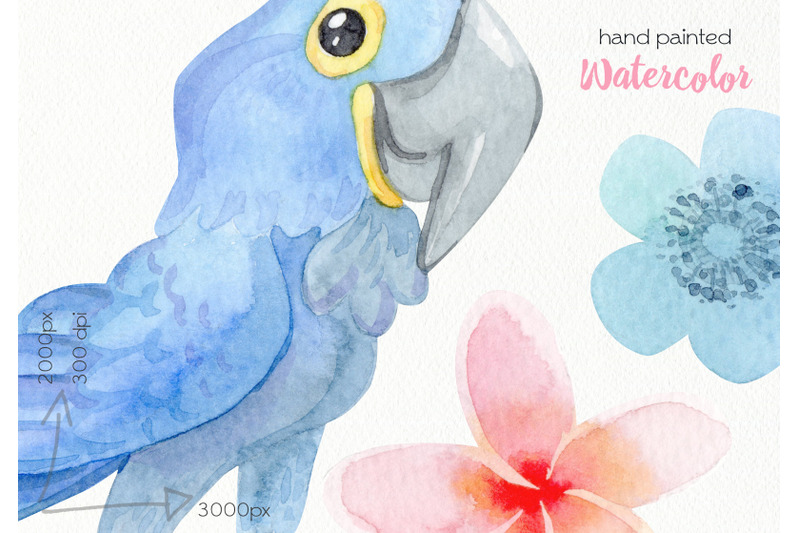 watercolor-tropical-parrots