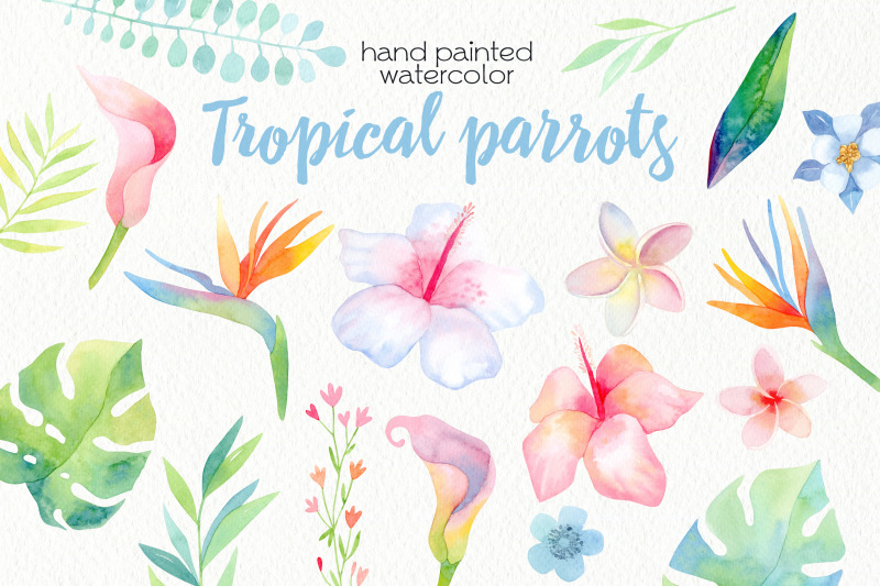 watercolor-tropical-parrots