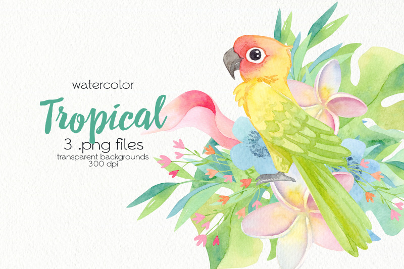 watercolor-tropical-birds