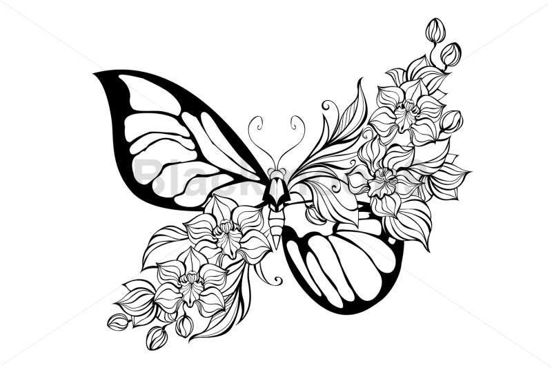 flower-butterfly-with-contour-orchid