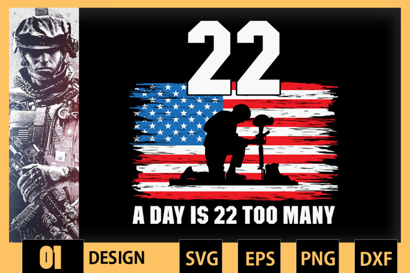 22-a-day-is-22-too-many-veteran