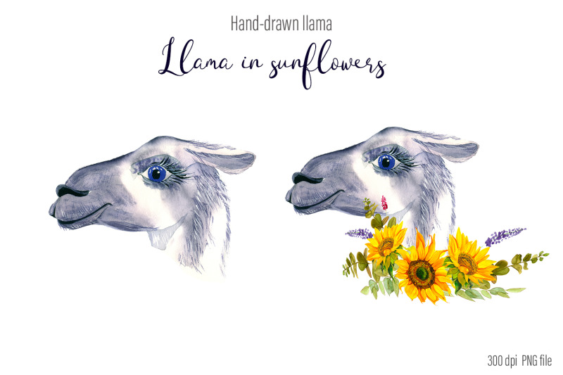 watercolor-llama-clipart-sublimation-designs-bundle