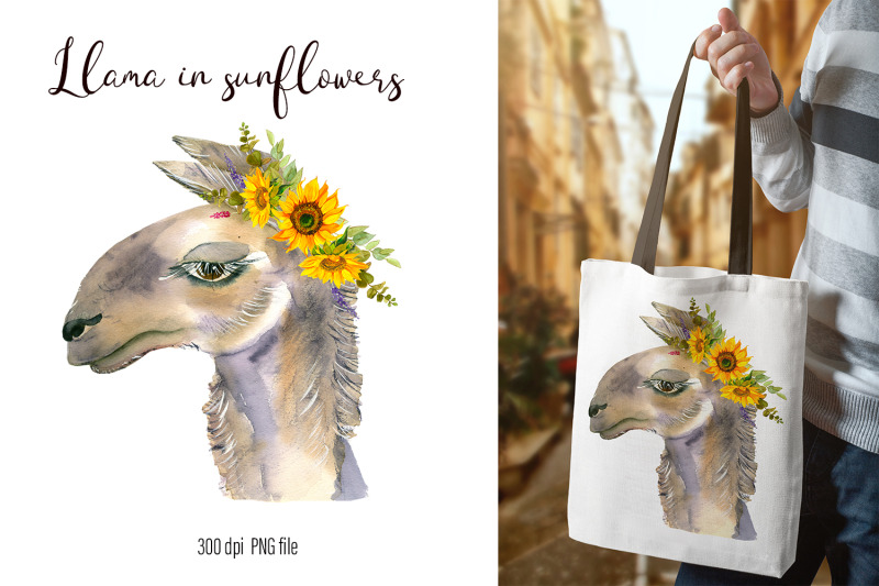 watercolor-llama-clipart-sublimation-designs-bundle