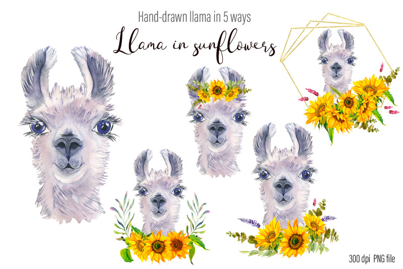 watercolor-llama-clipart-sublimation-designs-bundle
