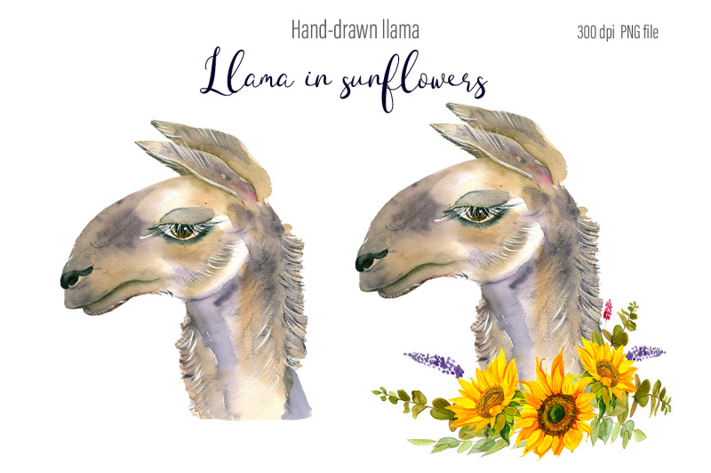 watercolor-llama-clipart-sublimation-designs-bundle