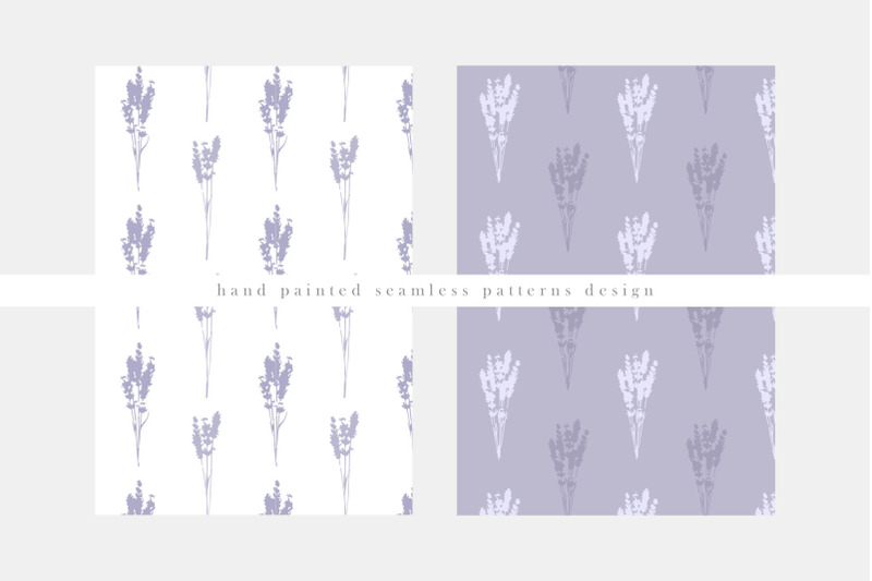 lavender-flowers-collection