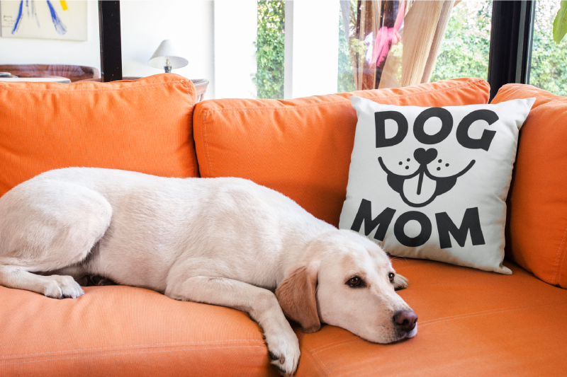 dog-mom-life-svg-bundle-funny-quotes-shirt-design-for-cricut