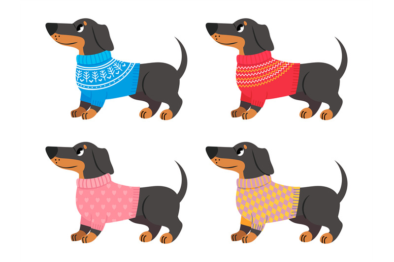 collection-of-dachshund-clothes-sweater-for-dogs