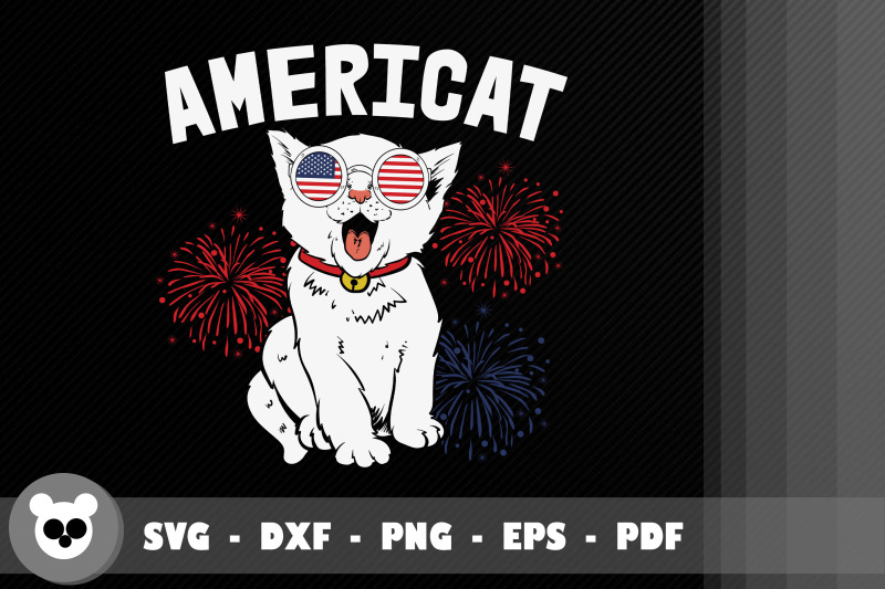 usa-americat-wearing-sunglasses