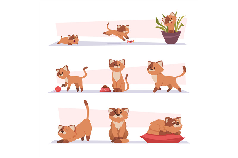 growth-cat-kitten-playing-pets-stages-growing-domestic-animal-exact-v