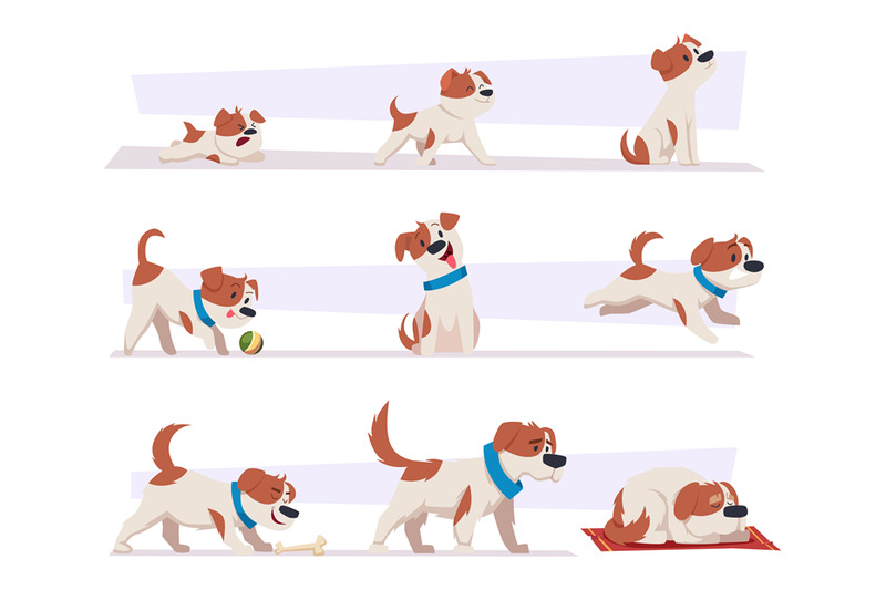 dog-growth-stages-cartoon-domestic-animal-puppy-life-progress-picture