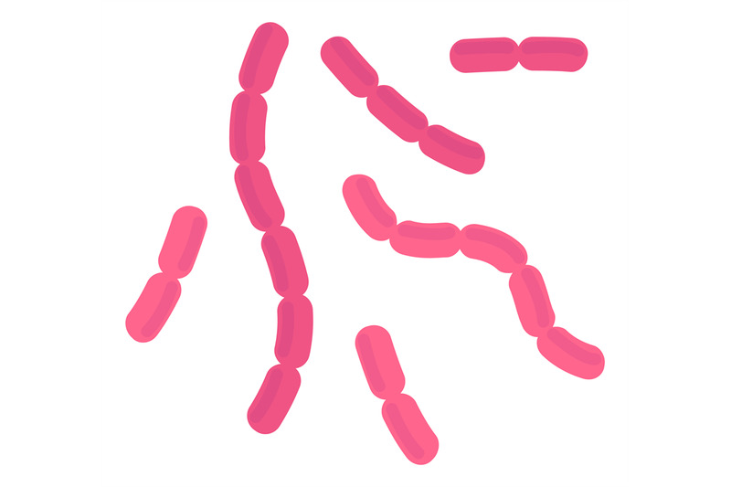 bacilli-bacteria-pink-rod-cells-of-infection-disease