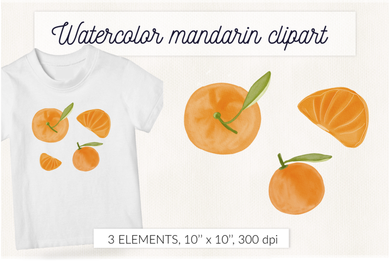watercolor-citrus-clipart-watercolor-tangerine-mandarin-lemon-grap